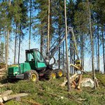 250px-TJ_harvesteri