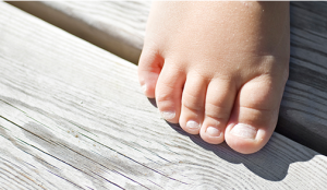 Sioo -kislebaserat träskydd istället för gift.