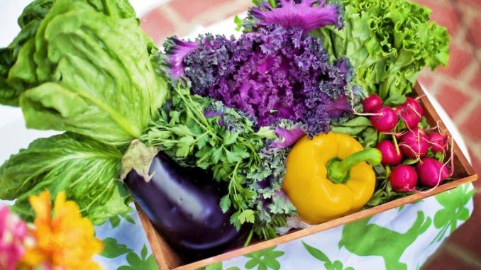 vegetables-790022_1280 pixabay